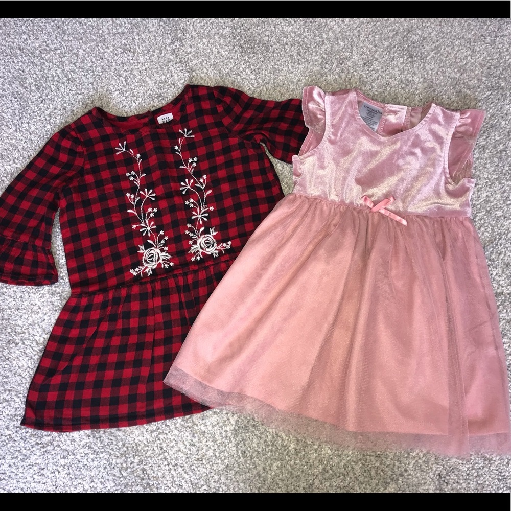Carters dress + pink velvet mesh dress